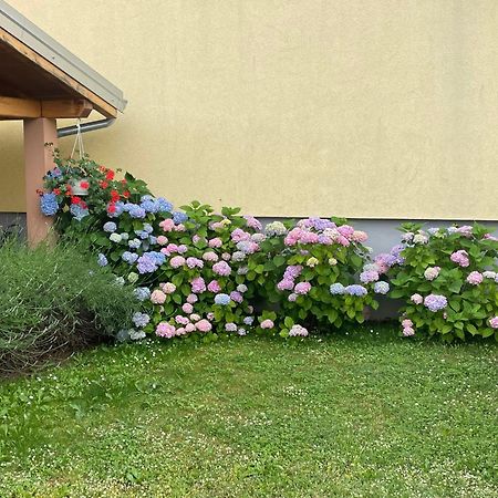 Apartments Dora بوريتش المظهر الخارجي الصورة