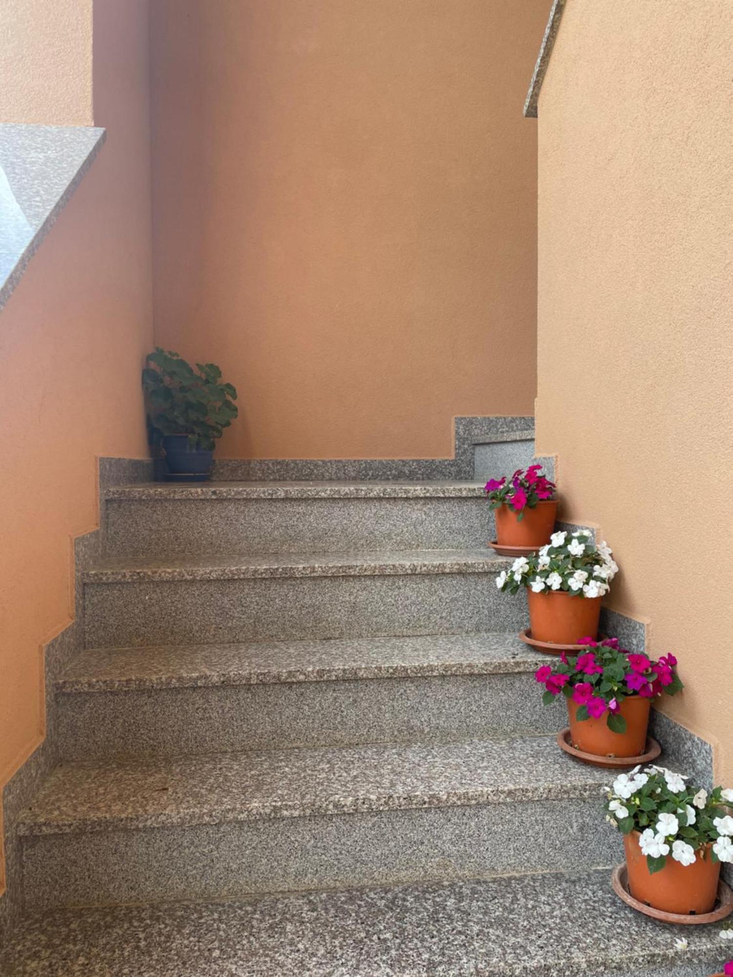 Apartments Dora بوريتش المظهر الخارجي الصورة